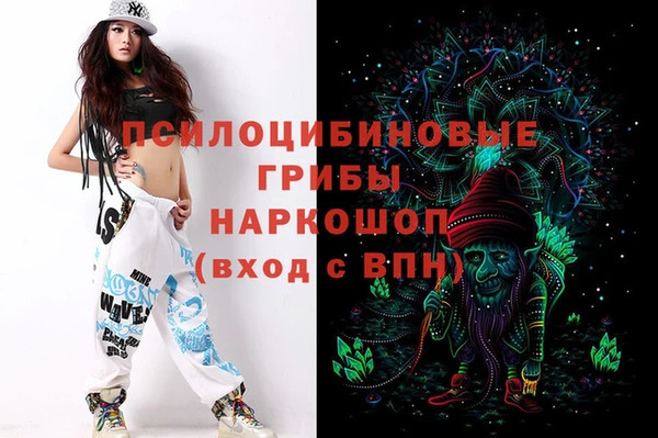хмурый Лиски