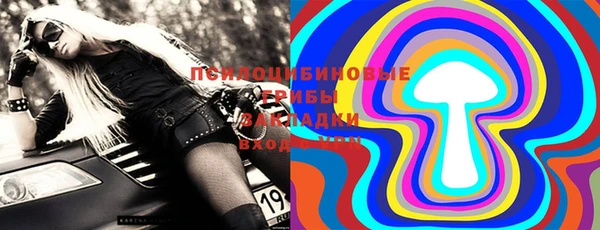 хмурый Лиски