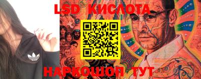 PSILOCYBIN Бийск