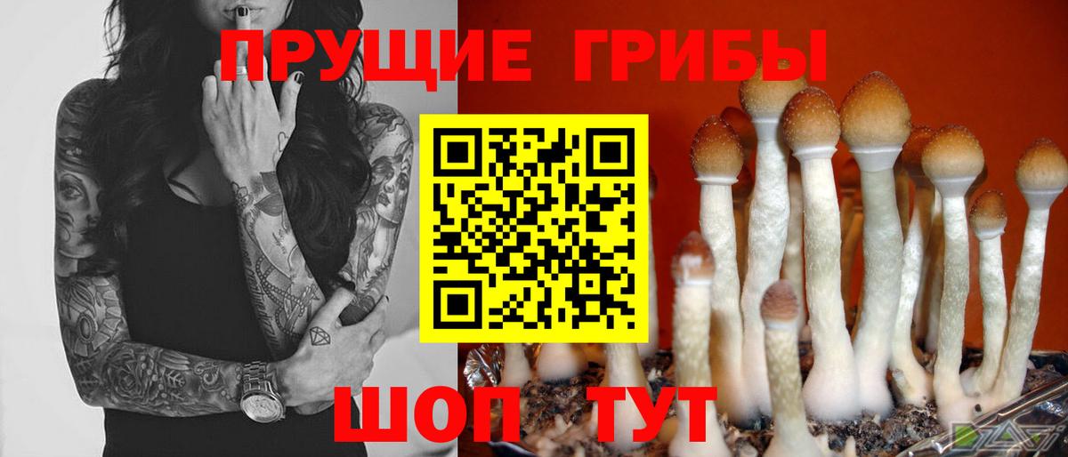 Псилоцибиновые грибы ЛСД  Вход с VPN  Воронеж 