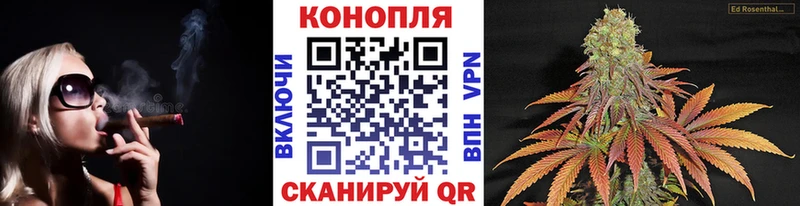 Канабис сатива  Воронеж 